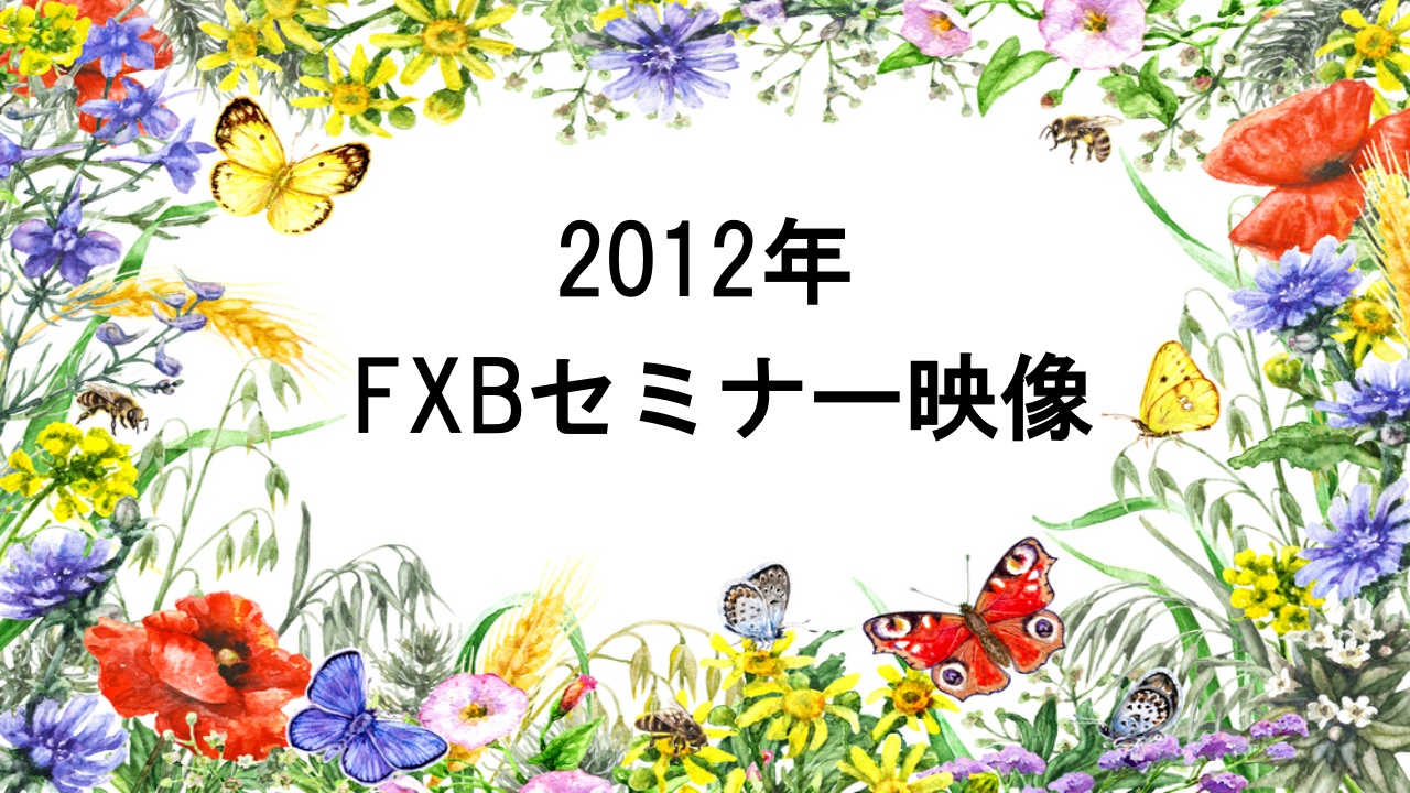 ２０１２年ＦＸＢセミナー