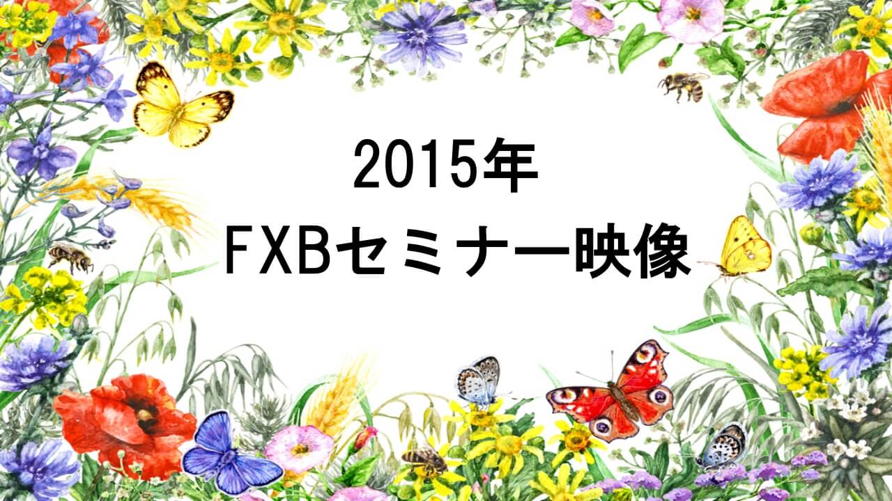 ２０１５年ＦＸＢセミナー